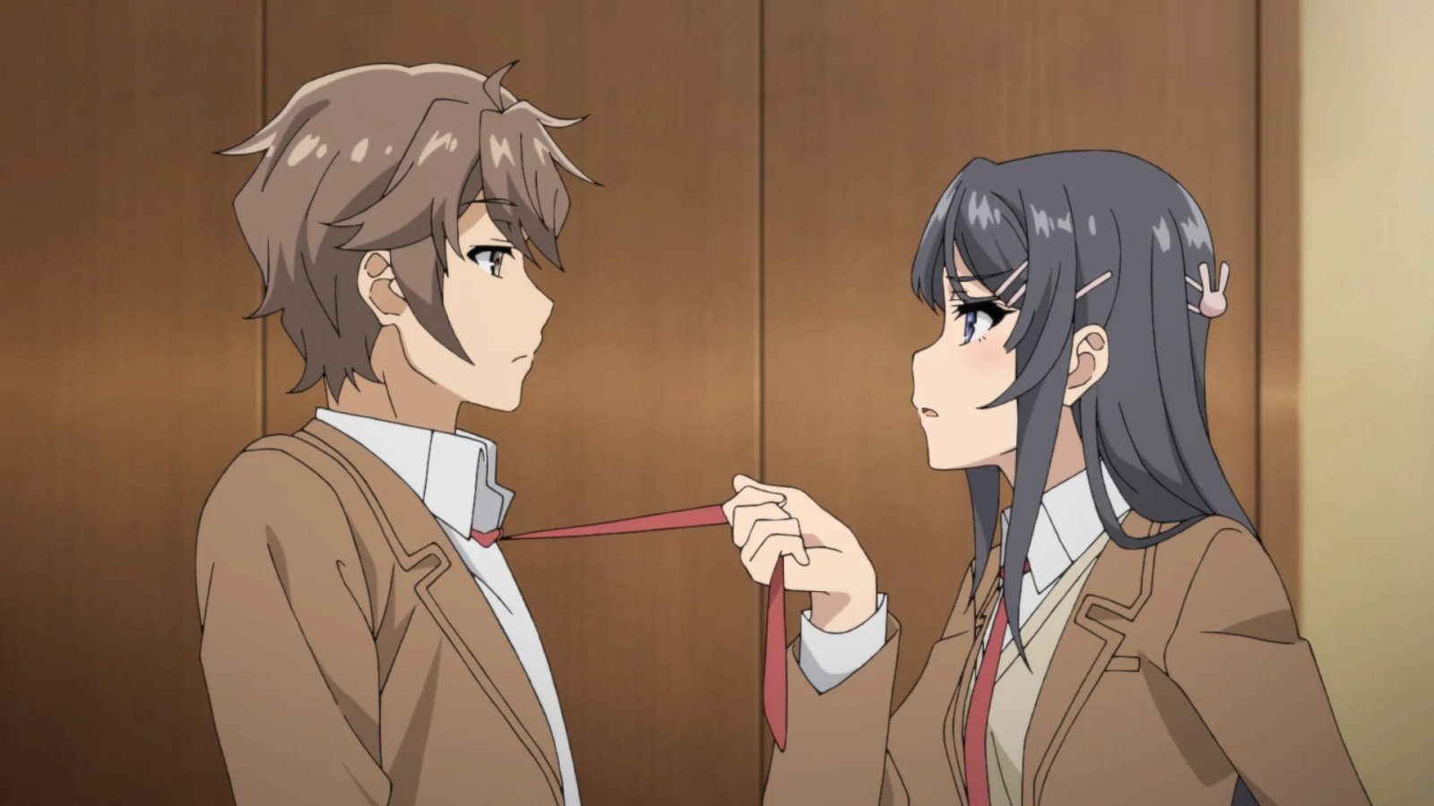Rascal Does Not Dream of Bunny Girl Senpai anime romance supernatural emotional dialogue