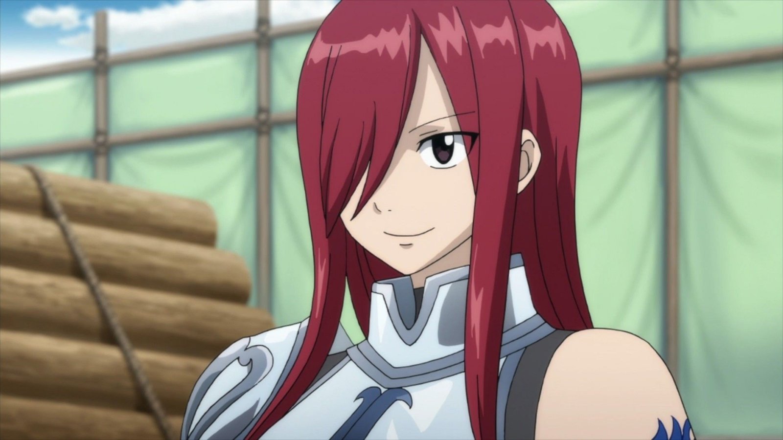 Erza Scarlet Fairy Tail waifu