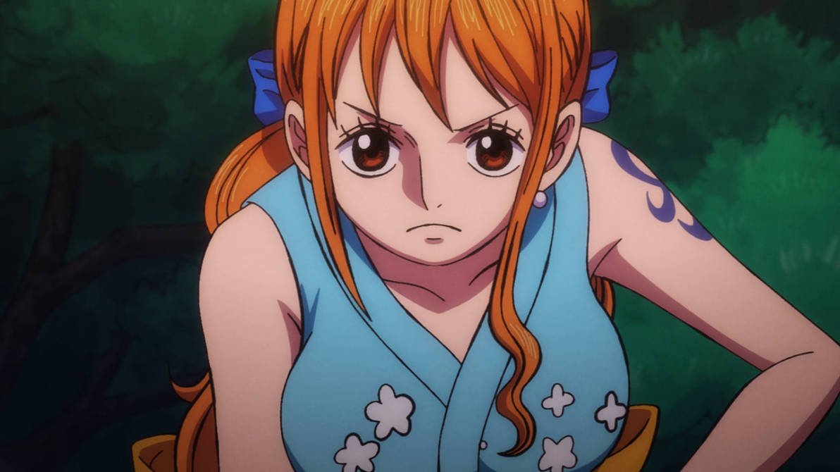 Nami One Piece anime waifu