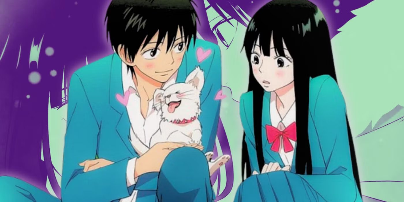 Kimi ni Todoke wholesome school romance anime featuring shy girl Sawako and gentle love story