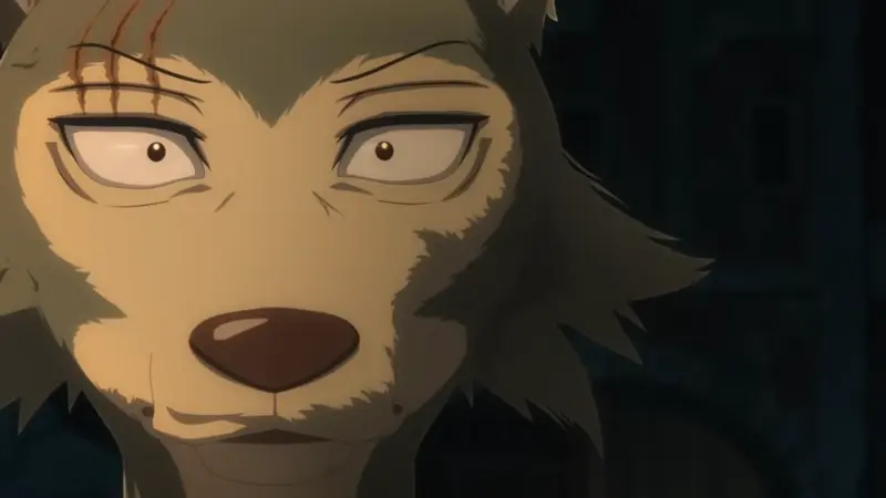 A close-up portrait of the gray wolf Legoshi looking conflicted in the drama anime Beastars.