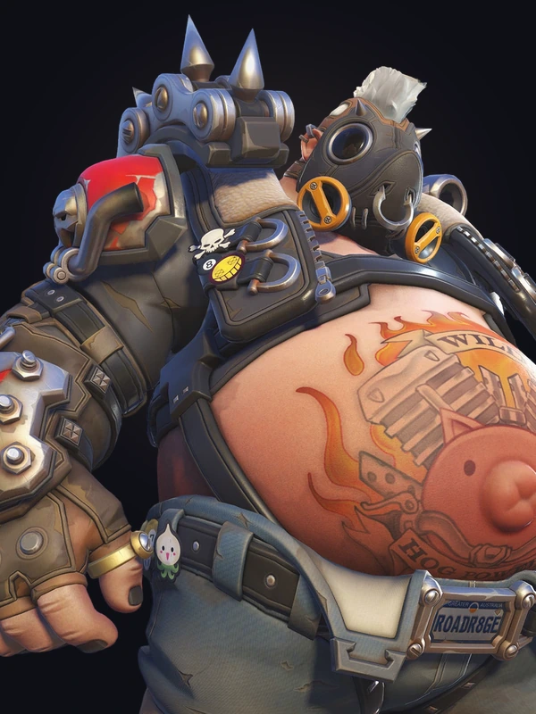 Roadhog - Global Attractiveness Rankings